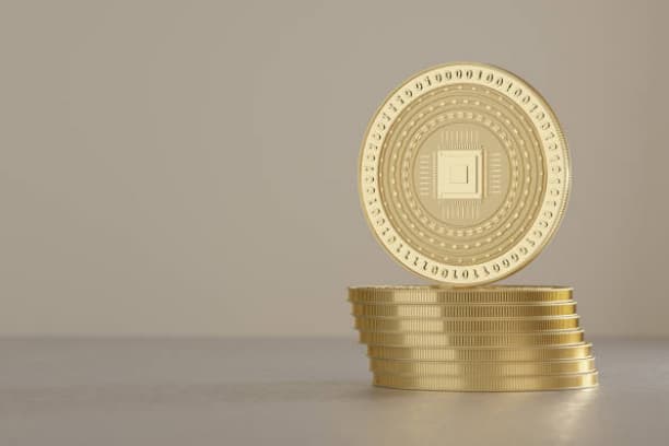 What is Doggie Coin, The Origin and Usage of Doggie Coins