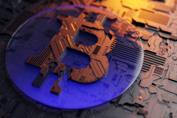 NEO（小蟻）是什麼？NEO的交易平臺和使用指南